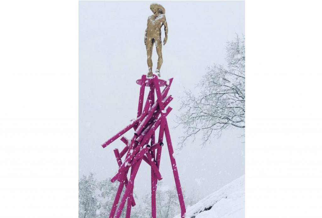 TRANSART 21：ARTARCTIC – Peter Senoner