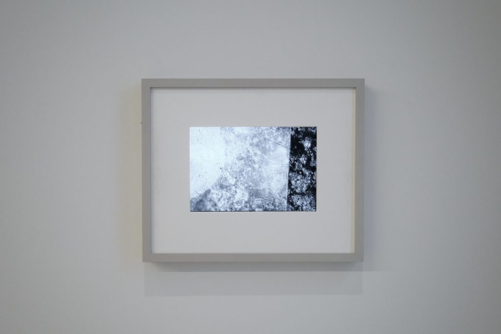 KOMOREBI DREAMS: supported by THE TOKYO TOILET Art Project / MASTER MIND