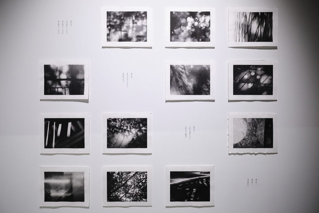 KOMOREBI DREAMS: supported by THE TOKYO TOILET Art Project / MASTER MIND